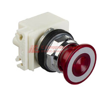 MFG 9001KR9P35LRR.jpg Image